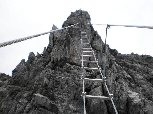 saula-ladder.jpg