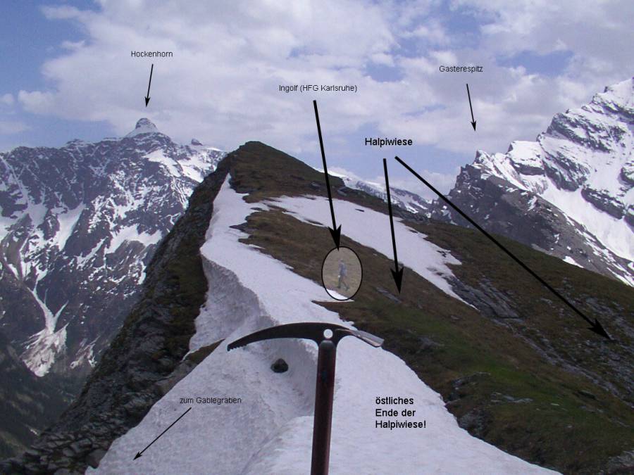2009_halpi_0116.jpg