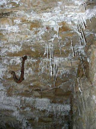20110416albani0004.jpg